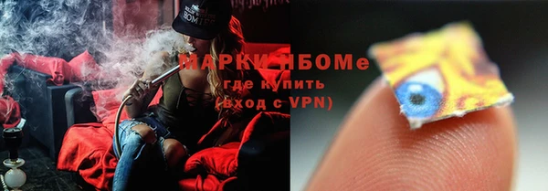 индика Богданович