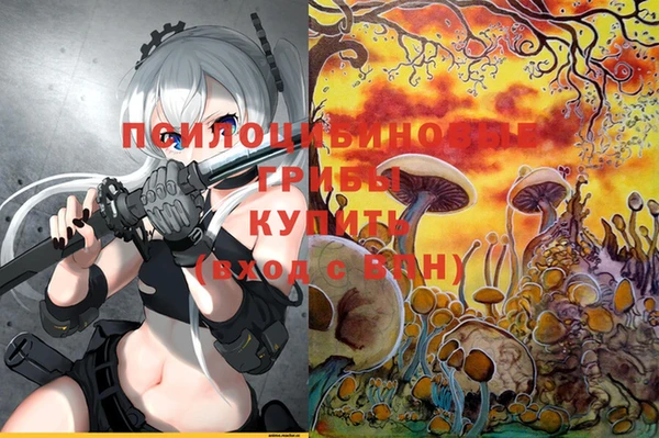 соль курить ск Верхний Тагил