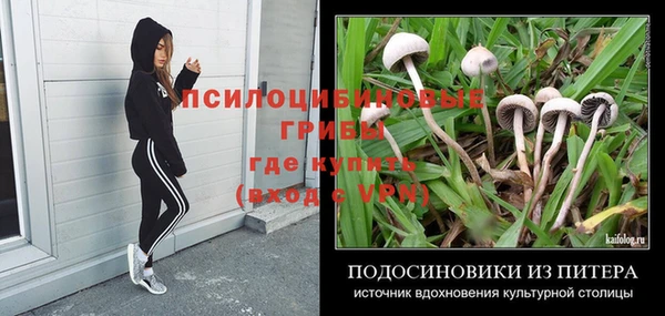 ешки Бугульма