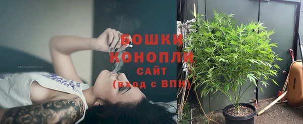 apvp Белокуриха