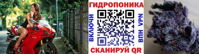 Канабис ГИДРОПОН  Дятьково 